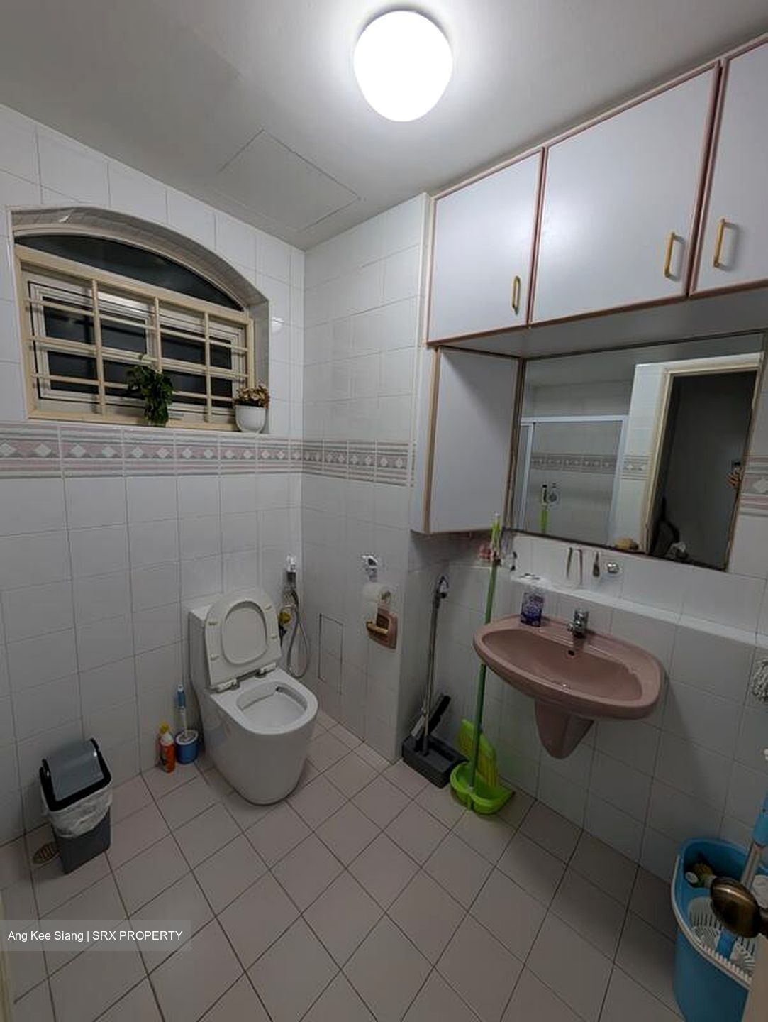 Hillview Villas (D23), Terrace #524904841